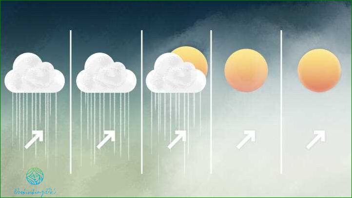 Vejret i Holte: Aktuelle vejrforhold og vejrudsigt