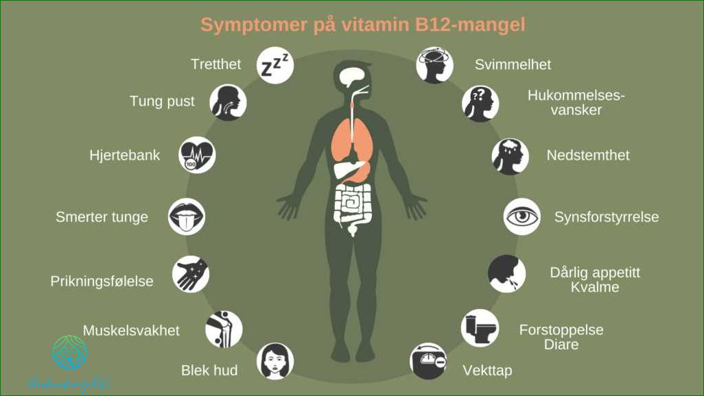 B-vitaminmangel symptomer