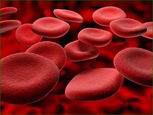 Hvad er hæmoglobin b?